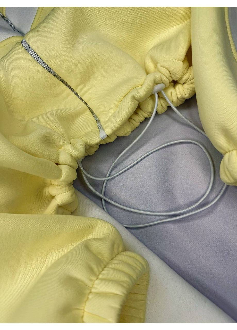 Жіночий теплий костюм із трьохнитки на флісі No Brand (372418701)