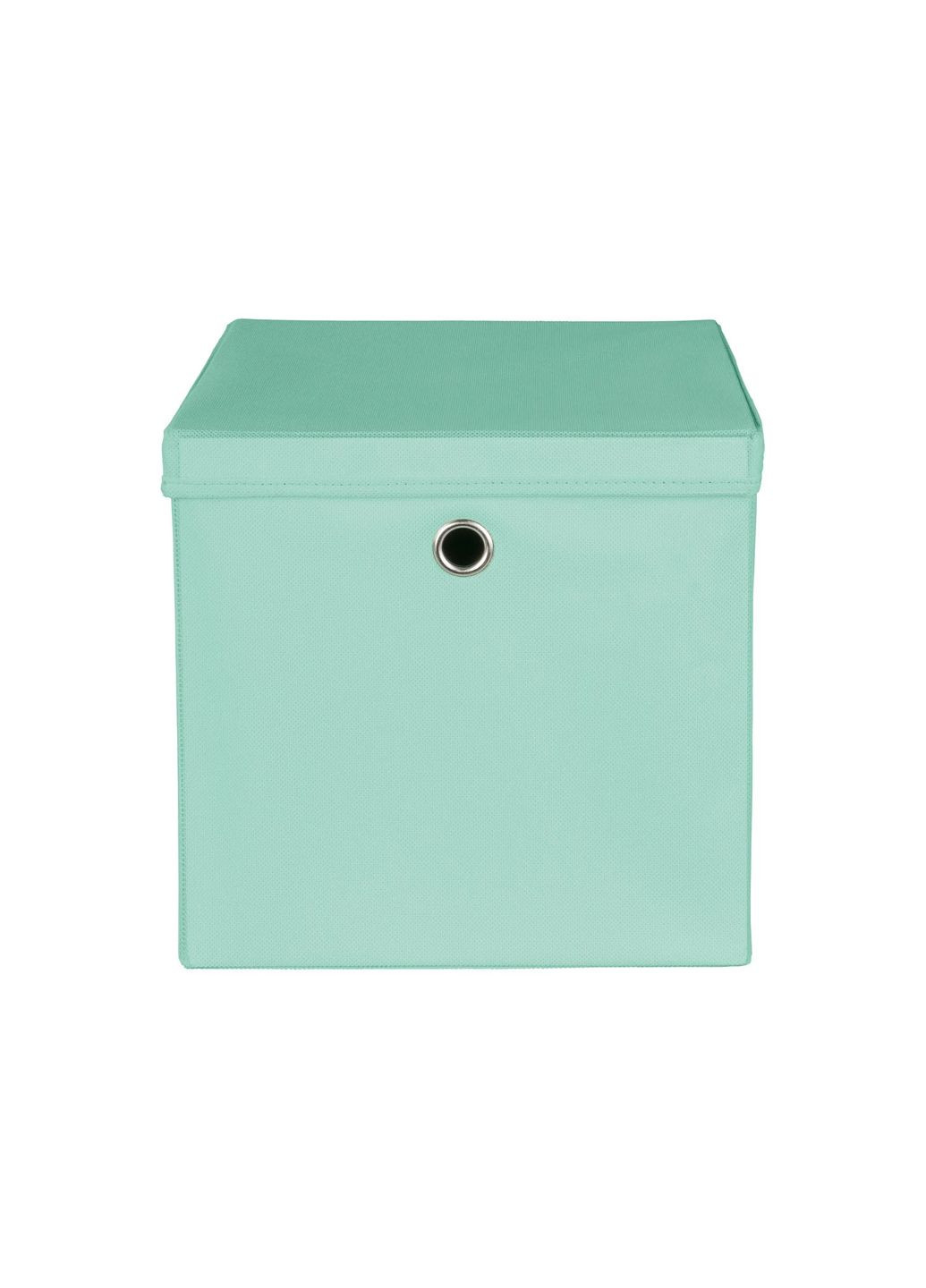 Органайзер с крышкой и ручкой 30,5х30,5х29,5 см мятный Livarno home (322455882)