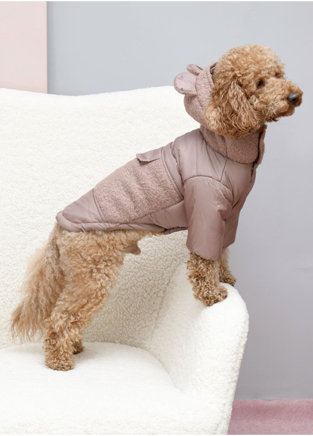 Куртка Teddy Бежевый Размер 8 Dogs Bomba (370275518)