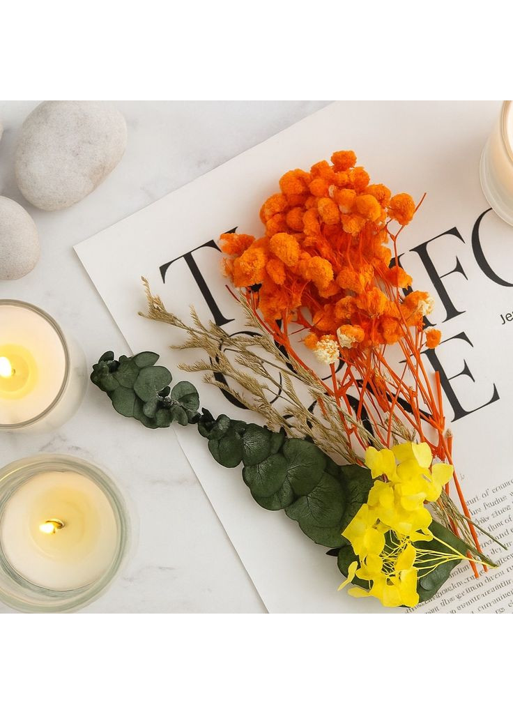 Помаранчеві сухі квіти для декору No Brand (322347365)