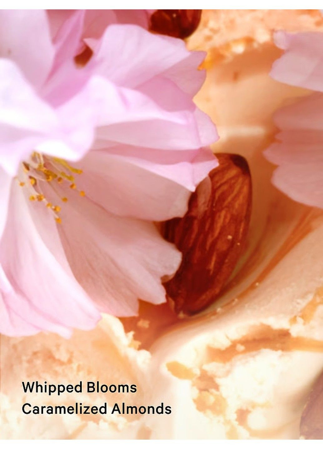 Лосьйон для Тіла Velvet Petals Brulee Fragrance Lotion Victoria's Secret (355267012)