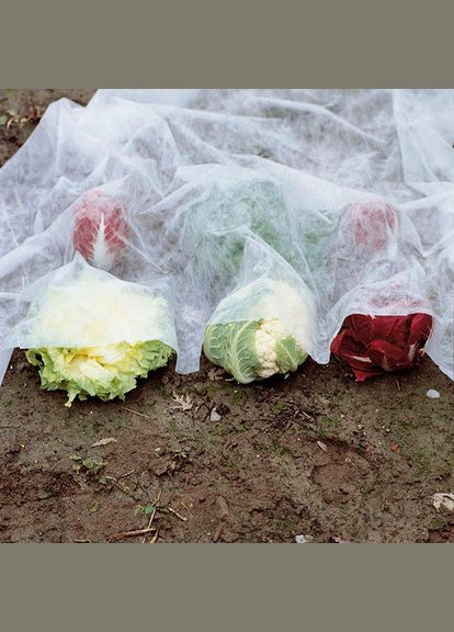 Защитный нетканый материал, 2x10 м, арт. 6747 Verdemax (329407621)