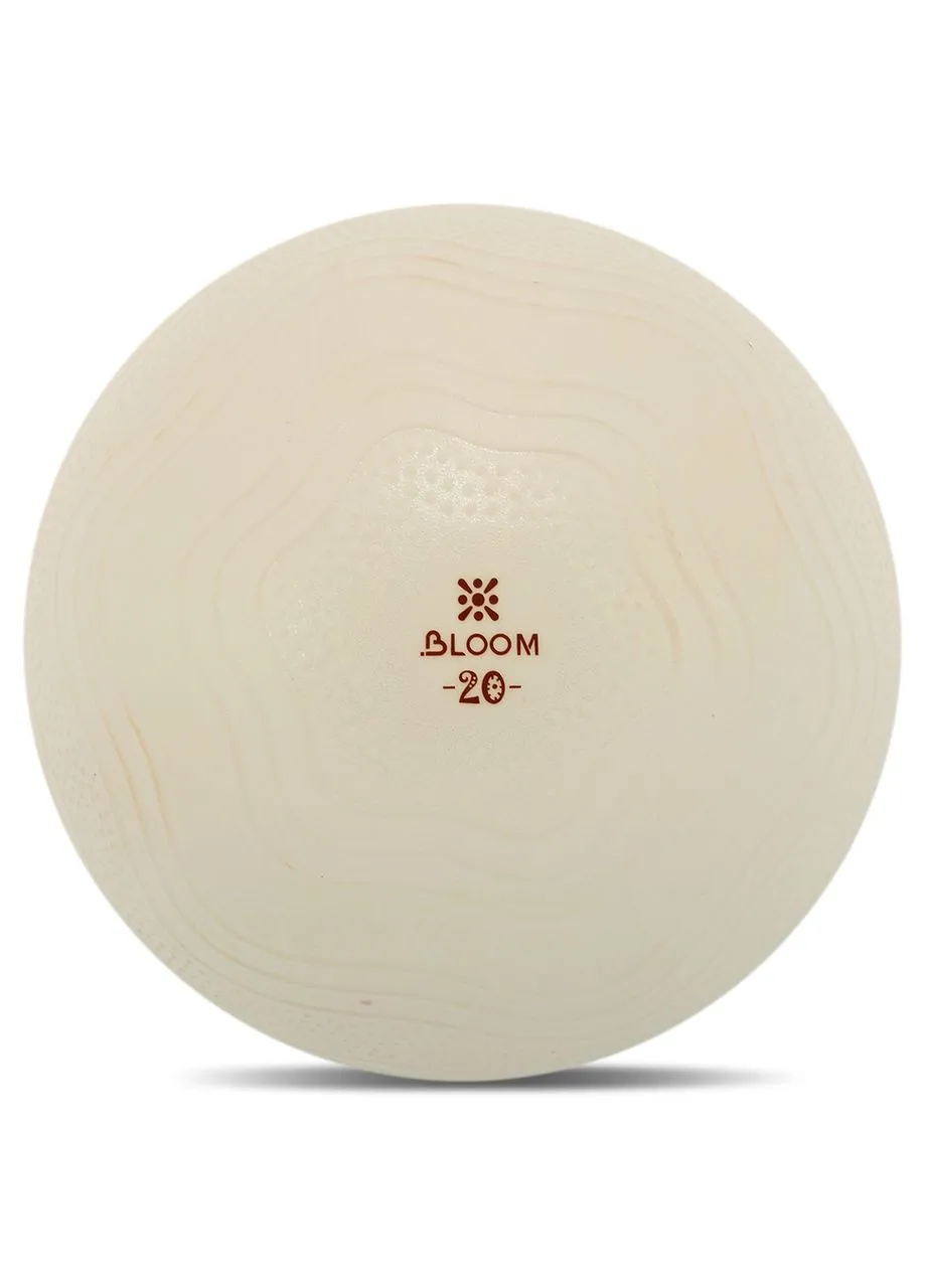 Мяч для пилатеса и йоги MINI PILATES BALLl LB7001-20 (PVC, d-20см, насос, ) Bloom (361436483)
