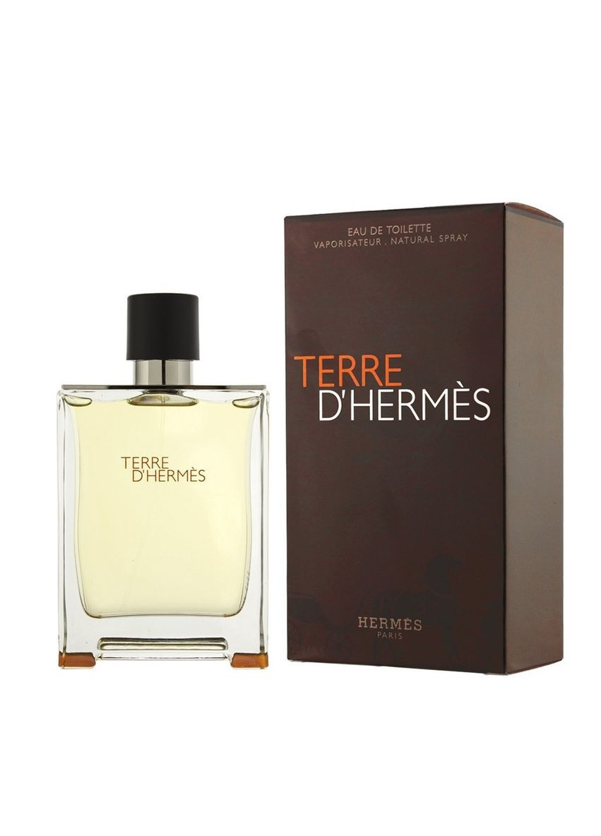 Мужской парфюм люкс качества Terre Hrmes edt 100ml No Brand (326600460)