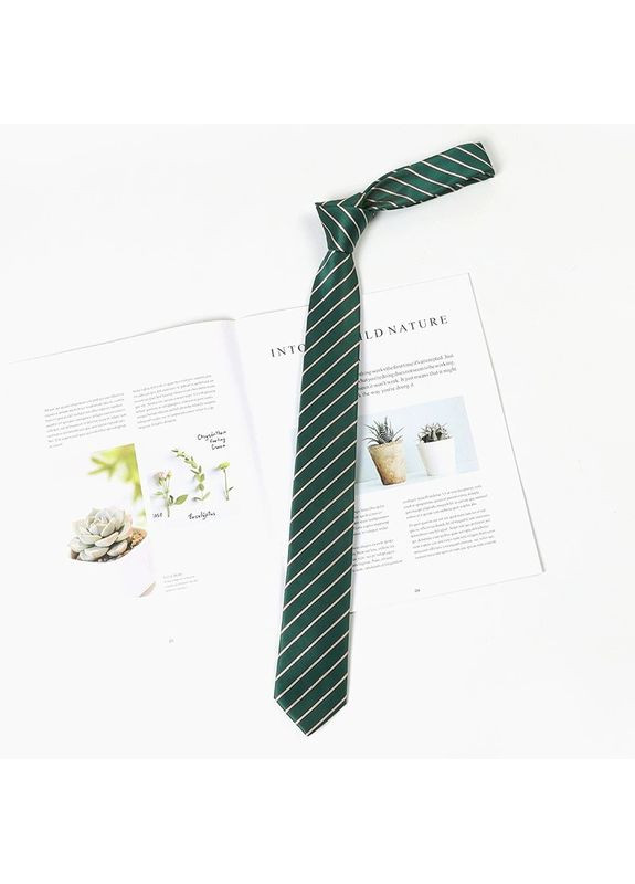 Классический галстук (30к034/5) No Brand (369667358)