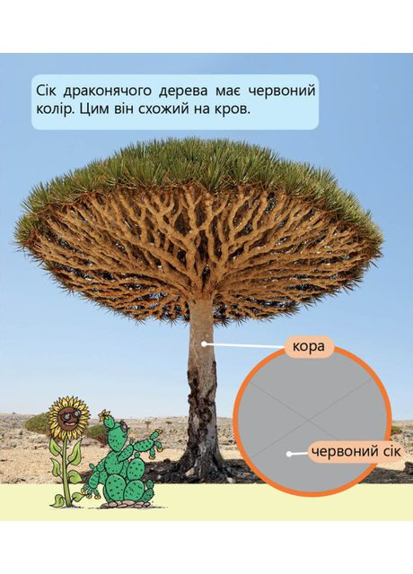 Фантастические растения и не только… Первое чтение. Уровень 3 РАНОК (349839405)