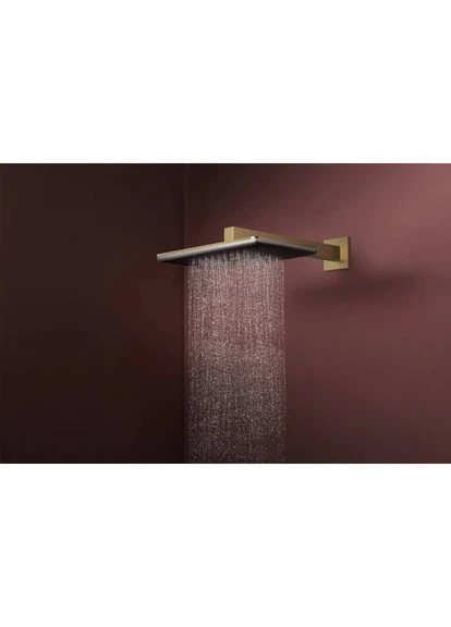 Верхній душ RAINDANCE ALIVE, бронза, прямокутна Hansgrohe (401885154)