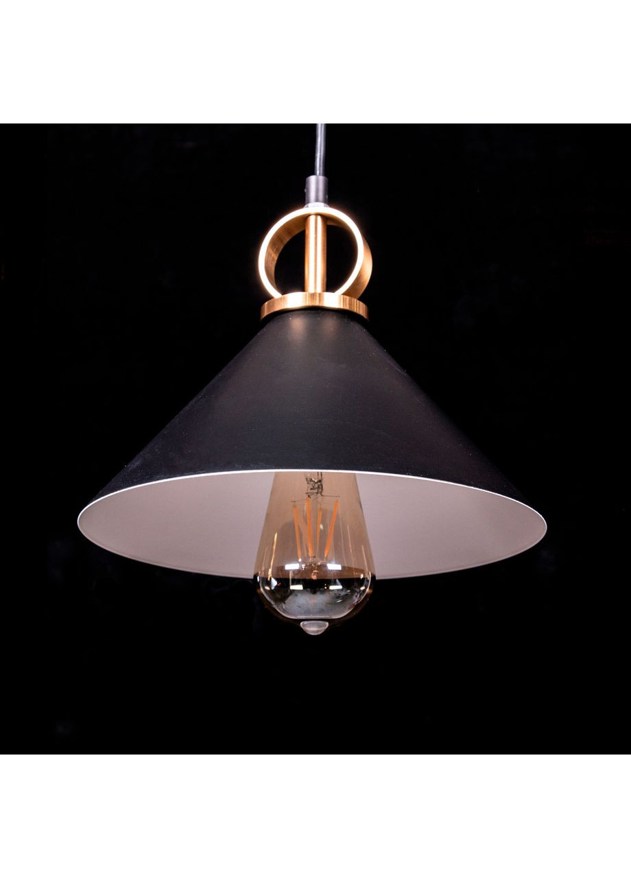 Подвесной светильник в стиле лофт TY125/1P/Black No Brand (352229863)