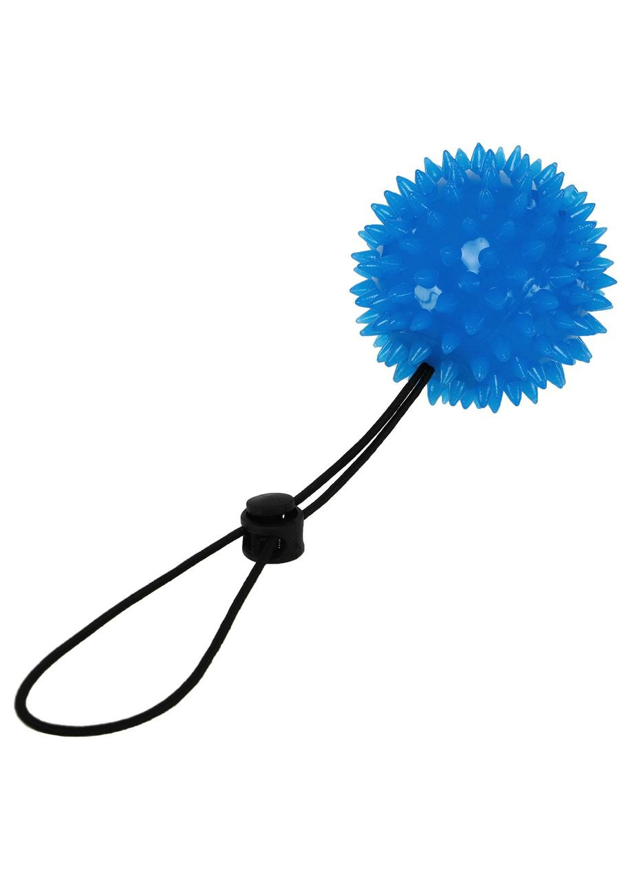 М'яч масажний масажер Іглбол з кріпленням на зап'ясті FI-9452 (d-5,5 см, блакитний) SP-Sport (361434791)