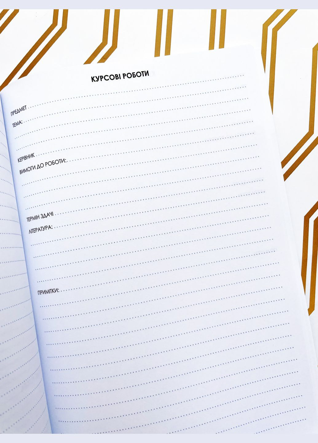 Планер Студента Графіті Figasse 514 (300358797)