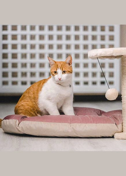 Подушка-подстилка PRINCE 65/6 CUSHION BLUE-BEIGE, двухсторонняя, сине-бежевая Ferplast (335587895)