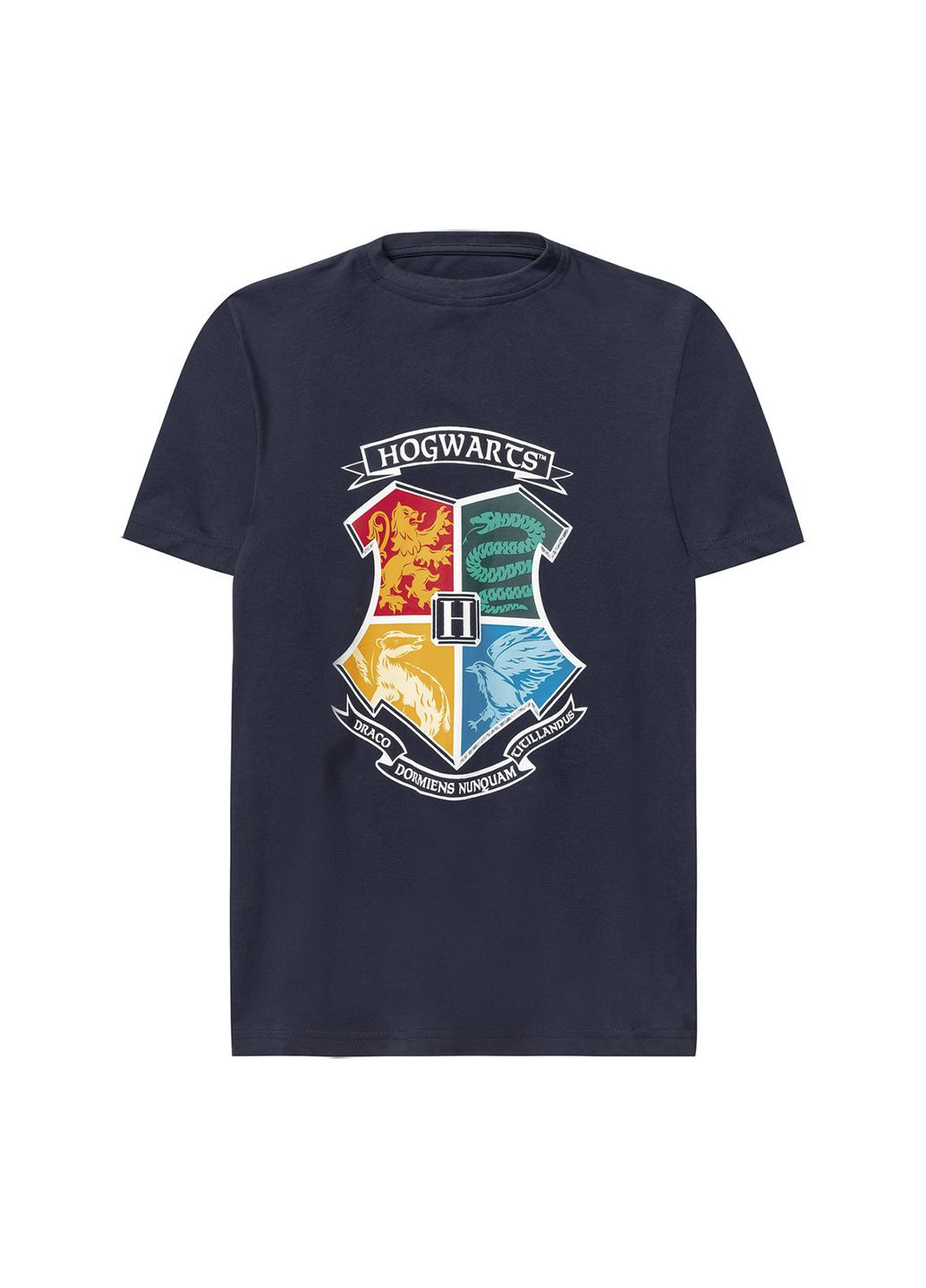 Синяя демисезонная футболка для мальчика Harry Potter