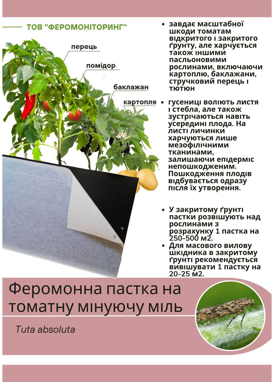 Феромонна пастка на міль томатнуTuta absoluta No Brand (372512154)