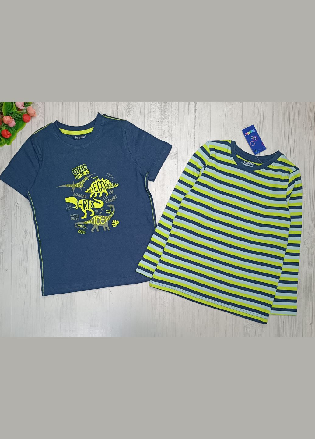 Набір лонгслів і футболка для хлопчика Lupilu (289533917)
