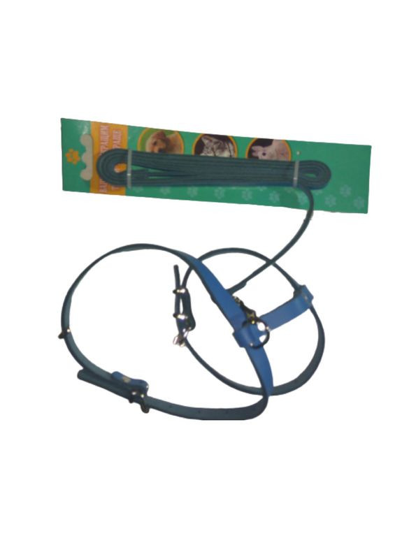 Шлейка + повідок шкіряна 22-30см*26-38см синя Лорі (367725830)