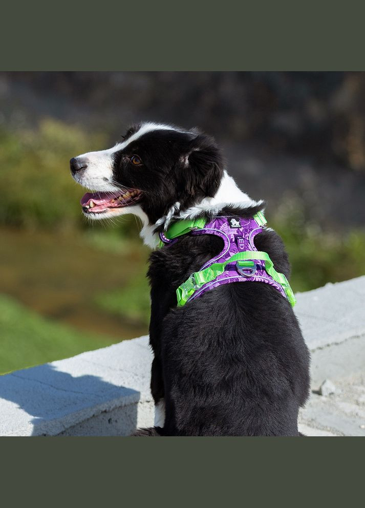 Шлея для собак Tropical, регулируемая светоотражающая нейлоновая шлея, Фиолетовый XS (33-43см) Truelove (301940173)