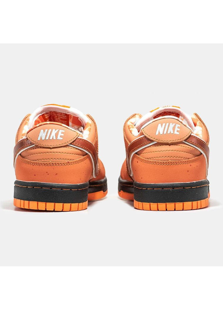 КРОСІВКИ ЖІНОЧІ NIKE CONCEPTS X SB DUNK LOW ORANGE LOBSTER НАЙК No Brand білі демісезони (367167925)