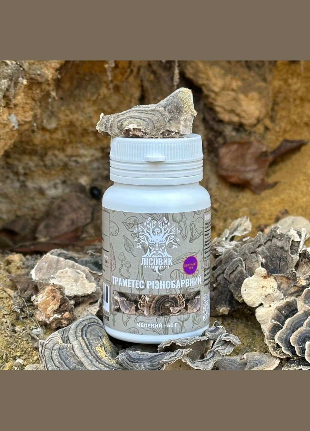Траметес разноцветный, экстракт 10:1, молотый 50 г Лісовик (334292835)