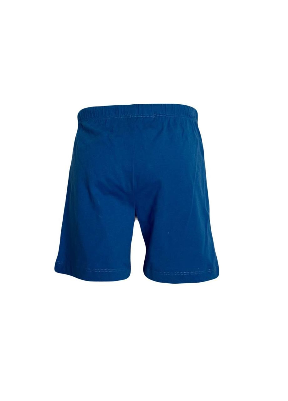 Шорти Блакитний Sprider (324390657)