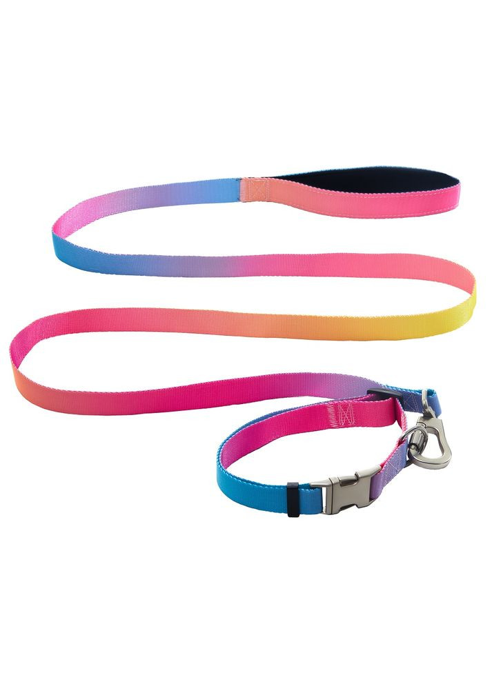 Набор (ошейник + поводок), panton 1, 25/420-520/1800 мм AnimAll (335005543)