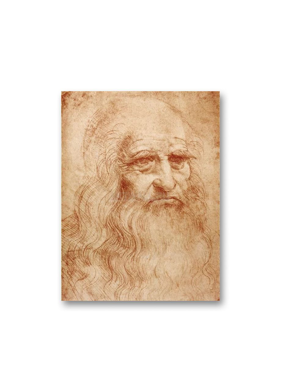Печать на холсте Туринский автопортрет Леонардо да Винчи 60x90 No Brand (346496327)