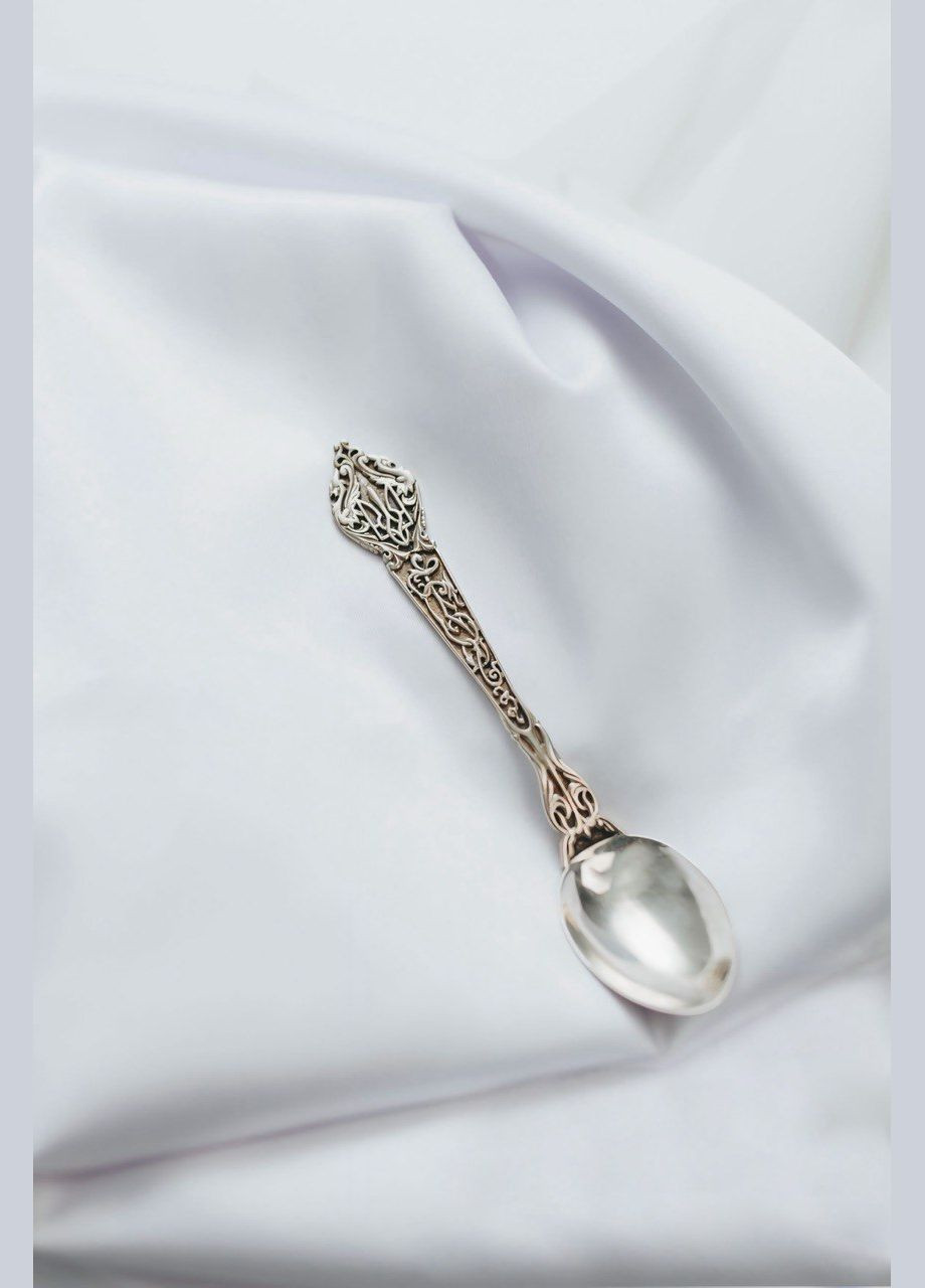 Ложка Украина 8100055 No Brand (317577413)