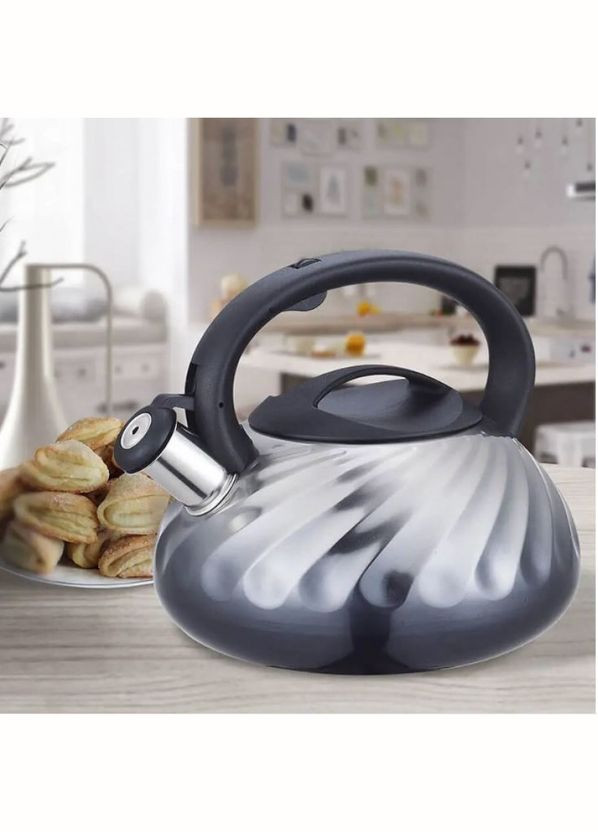 Чайник нержавіючої сталі 3 л MR-1321 GREY Maestro (317203646)