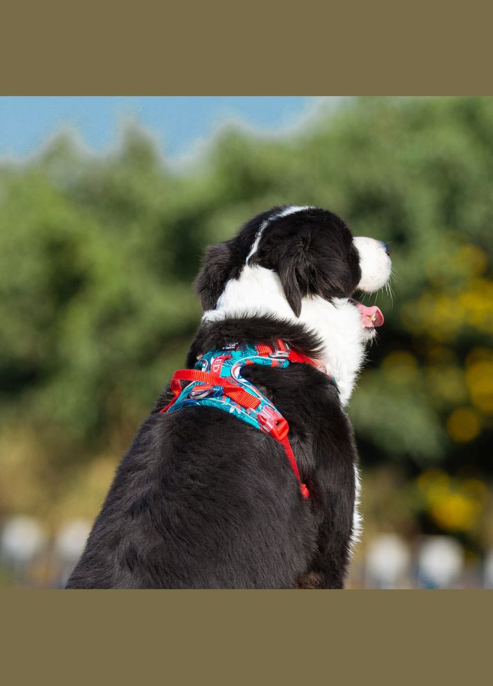Шлея для собак Tropical, регулируемая светоотражающая нейлоновая шлея, Голубой L (69-81см) Truelove (299915360)