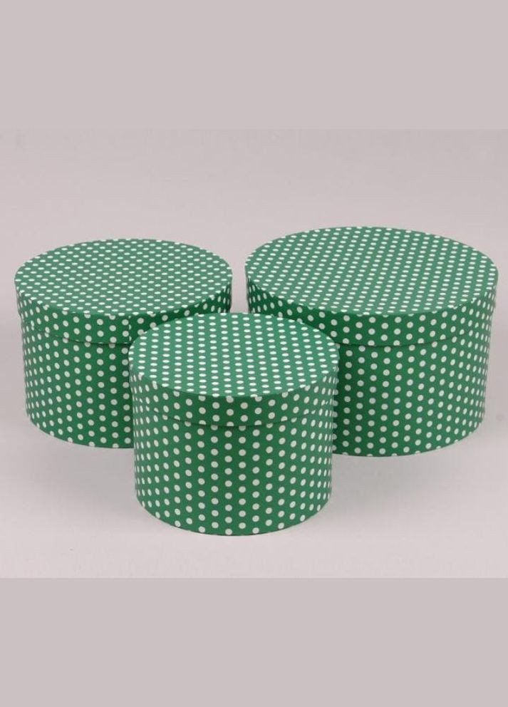 Комплект зелених коробок для квітів в білий горошок 3 шт. 39894 Flora (311201267)
