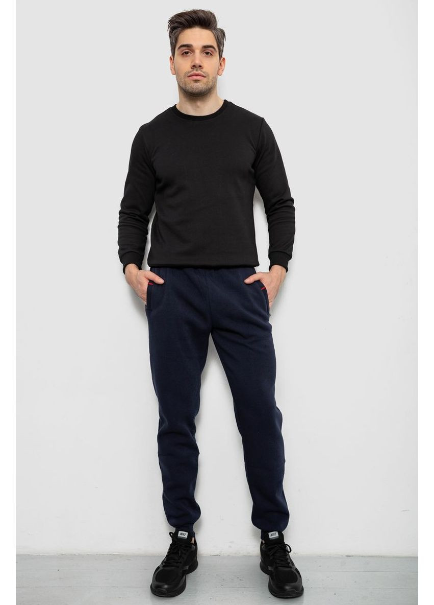 Спортивні штани чоловічі на флісі Sport Line (367261980)