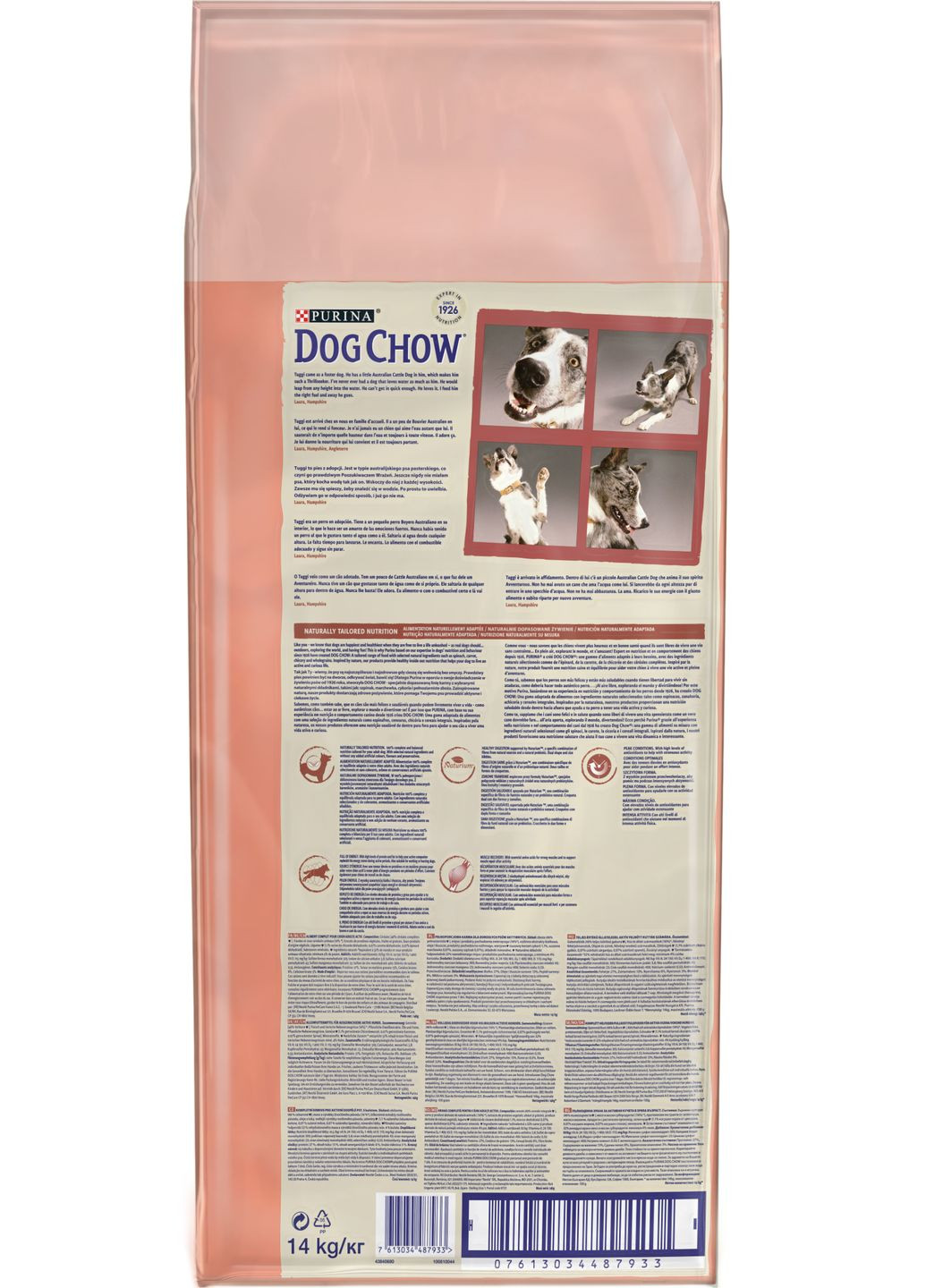 Сухий корм для активних та робочих собак Active з куркою 14 кг (7613034487933) Dog Chow (332167938)