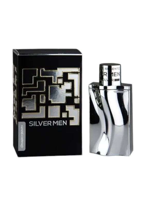 Туалетная вода мужская SILVER MEN man EDT 100 ml. 0579 Georges Mezotti (340111010)