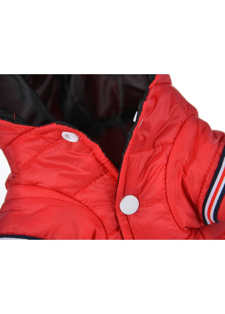 Куртка для собак Fashion Стиль и тепло на каждой прогулке No Brand (362571902)