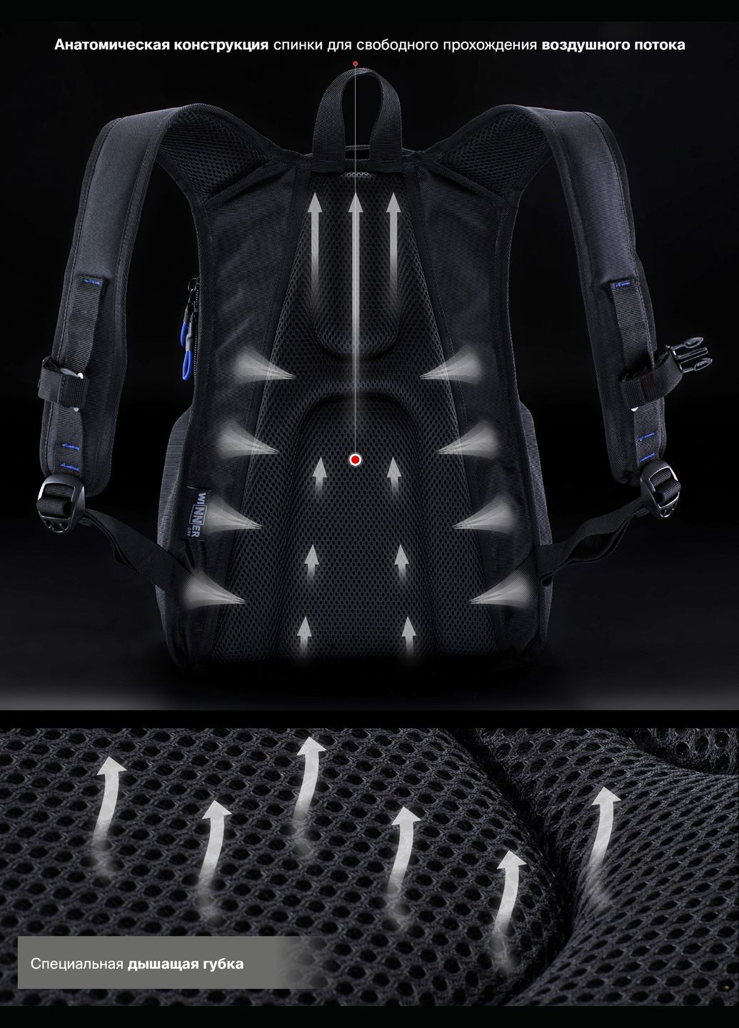 Подростковый рюкзак с ортопедической спинкой черный с usb портом мужской / Sky Name для подростков (90-103 G) Winner (293504198)