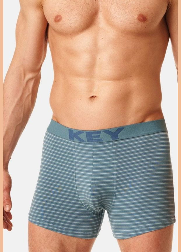 Мужские трусы шорты SZORTY MXH-399 B22 NI р. Key Боксери (301363103)