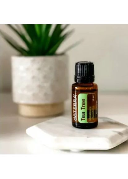 Эфирное масло чайного дерева Tea Tree, 15 мл DoTerra (361148192)
