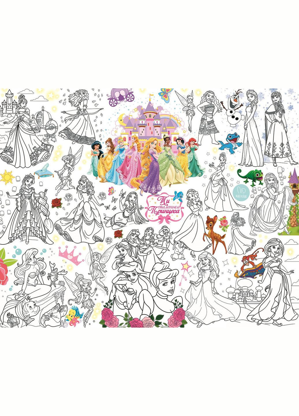 Розмальовка Принцеси Дісней Princess Disney Мега велика розмальовка набір з фломастерами 120х150 см No Brand (339871798)