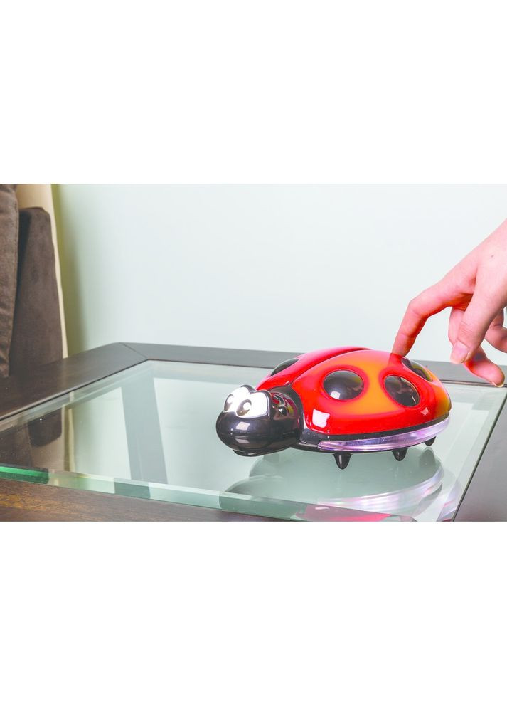 Нічний світильник Ladybug, червоний з чорним () Dreambaby F689 (336492807)