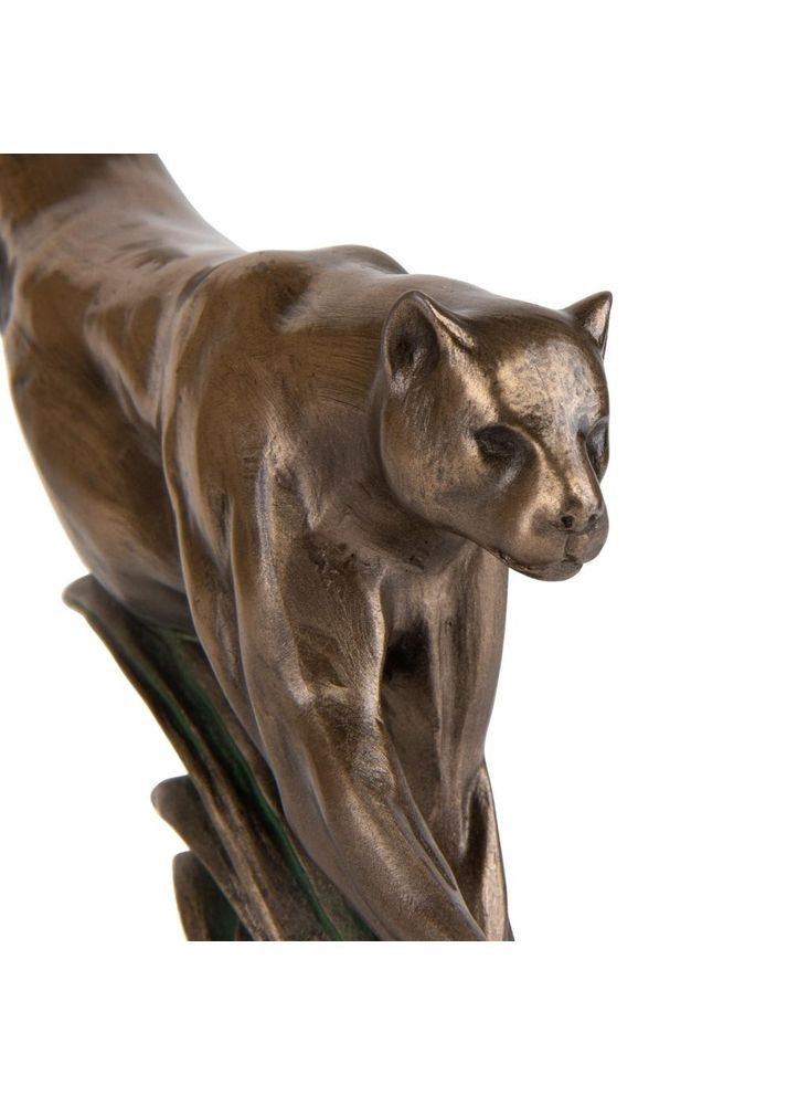 Миска Veronese (346533497)