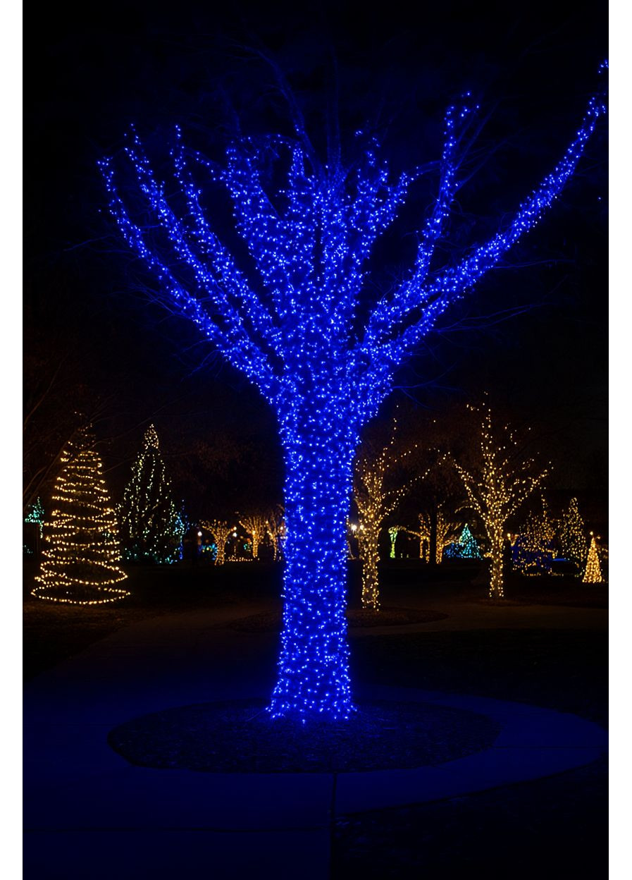 Гірлянда Різдвяна фея вулична 100 м 1000 LED білий провід Синій CF1000L100MWBL Garlando (366219501)