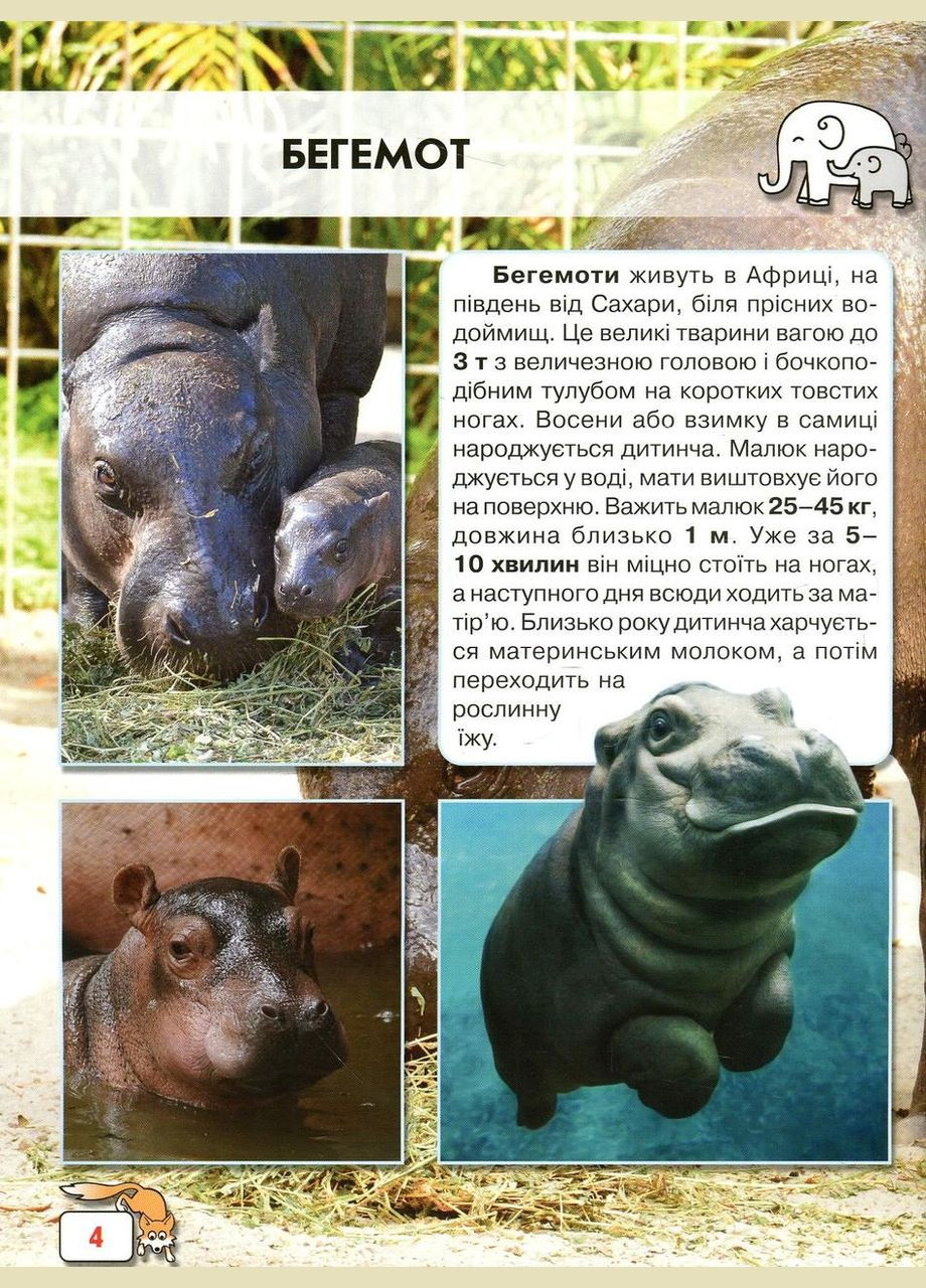 Мир вокруг нас. Малыши животных Кристал Бук (327879027)