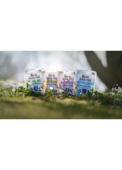 Ласощі для собак Brit Dental Stick Immuno для міцного імунітету, пробіотики та кориця, 7 шт, 251 г Brit Care (331651868)