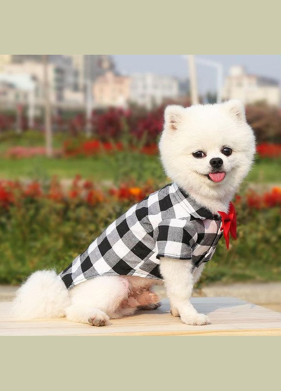 Рубашка для котов и кошек Pet Style "Бабочка" Чернобелая M No Brand - (323232343)