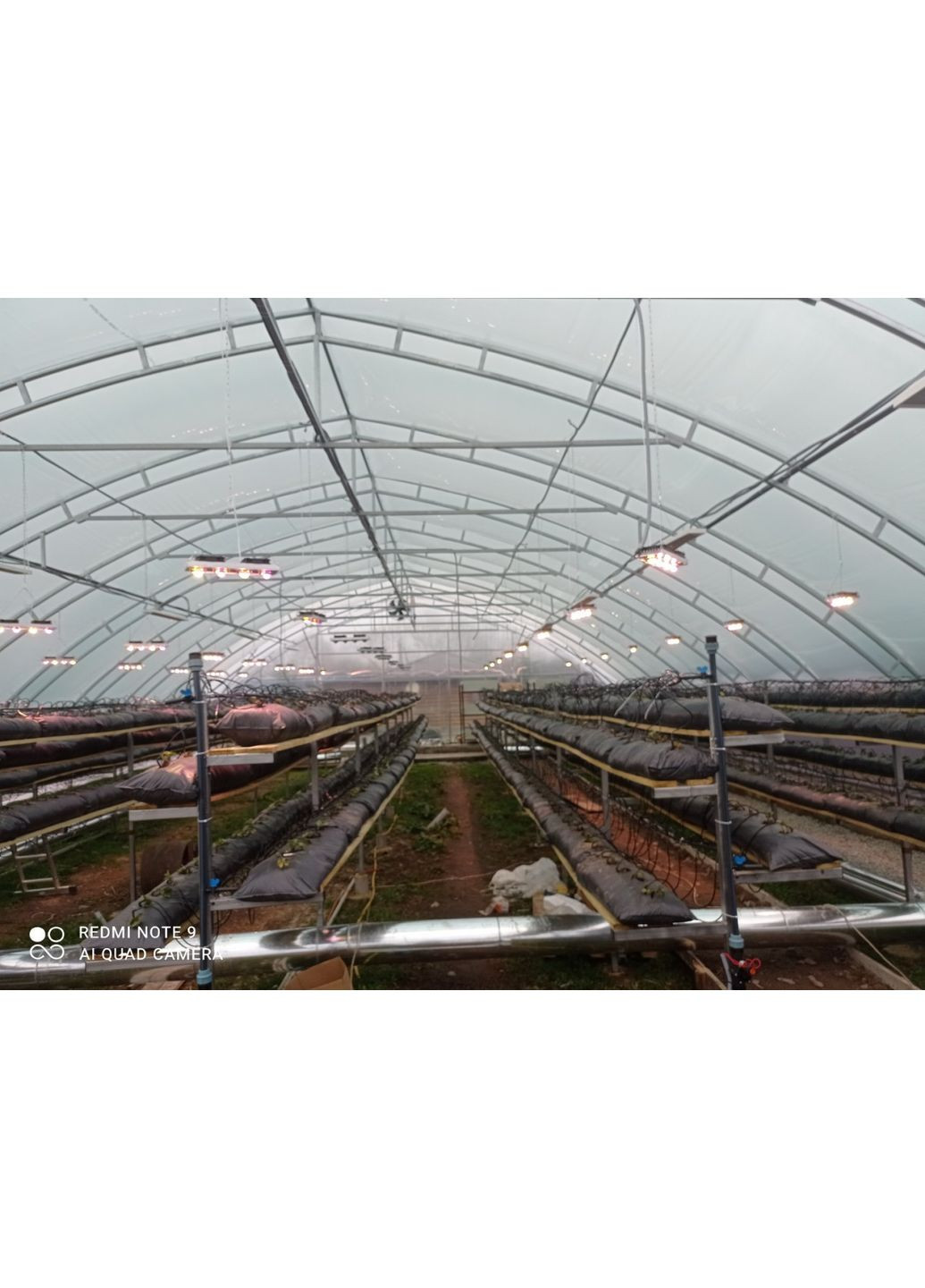 Фітолампа 200 Вт із лінзами для росту рослин, мультиспектр 400-840nm Gembird (368704491)