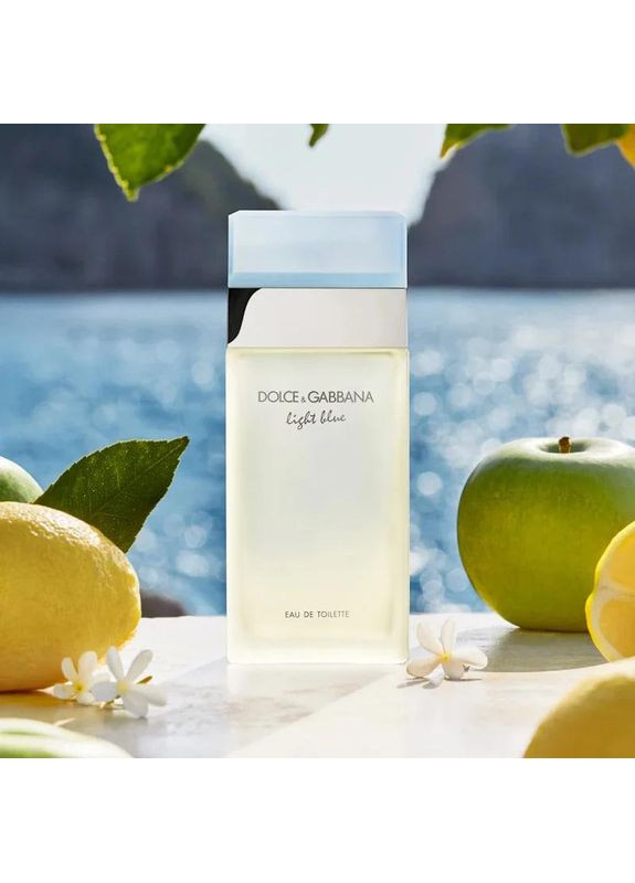 Жіноча парфумована вода Dolce&Gabbana Light Blue Women Духи жіночі 100мл No Brand (366734798)