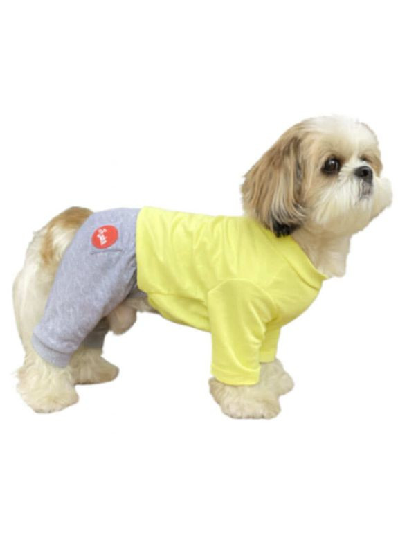 Suit - Костюм для собак дрібних порід - L / 45-50 см Diego (372850357)