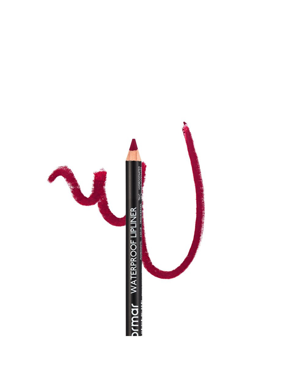 Карандаш для губ водостойкий Waterpoof Lipliner №210 Коричневый Brown Flormar (330128405)