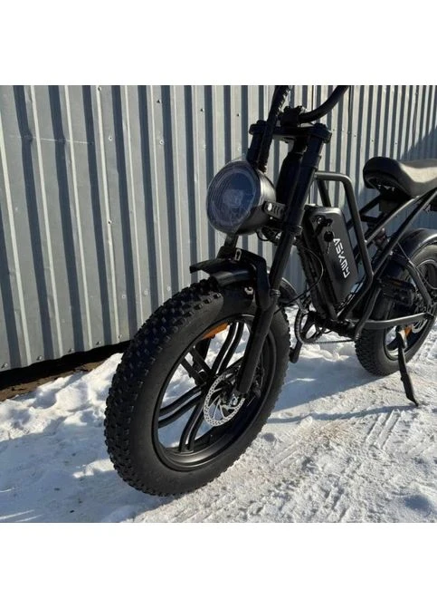 Электровелосипед ECOBIKE e-Motion V9 60V 30Ah 1000W Black EVOBIKE (386756973)