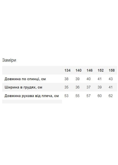 Серый демисезонный лонгслив No Brand