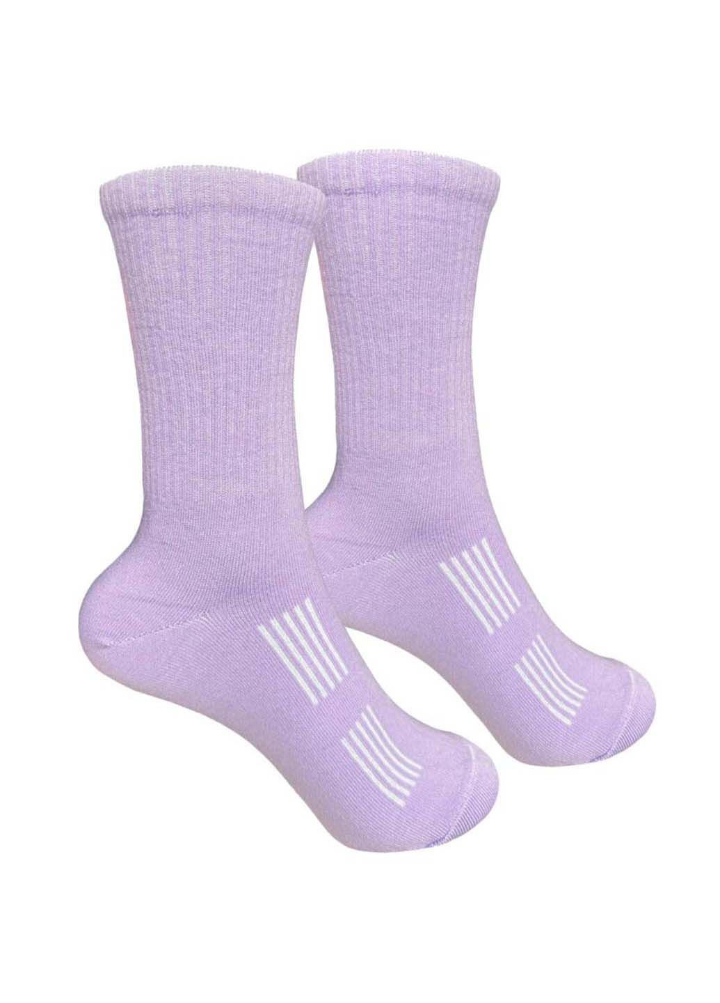 Фиолетовые носки женские 1and1 (348467302)
